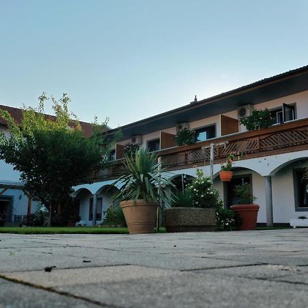 Gaestehaus Und Weinbau Zur Wiederkehr Strudler 滨湖波德斯多夫 外观 照片