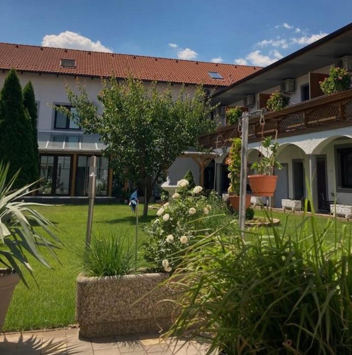 Gaestehaus Und Weinbau Zur Wiederkehr Strudler 滨湖波德斯多夫 外观 照片